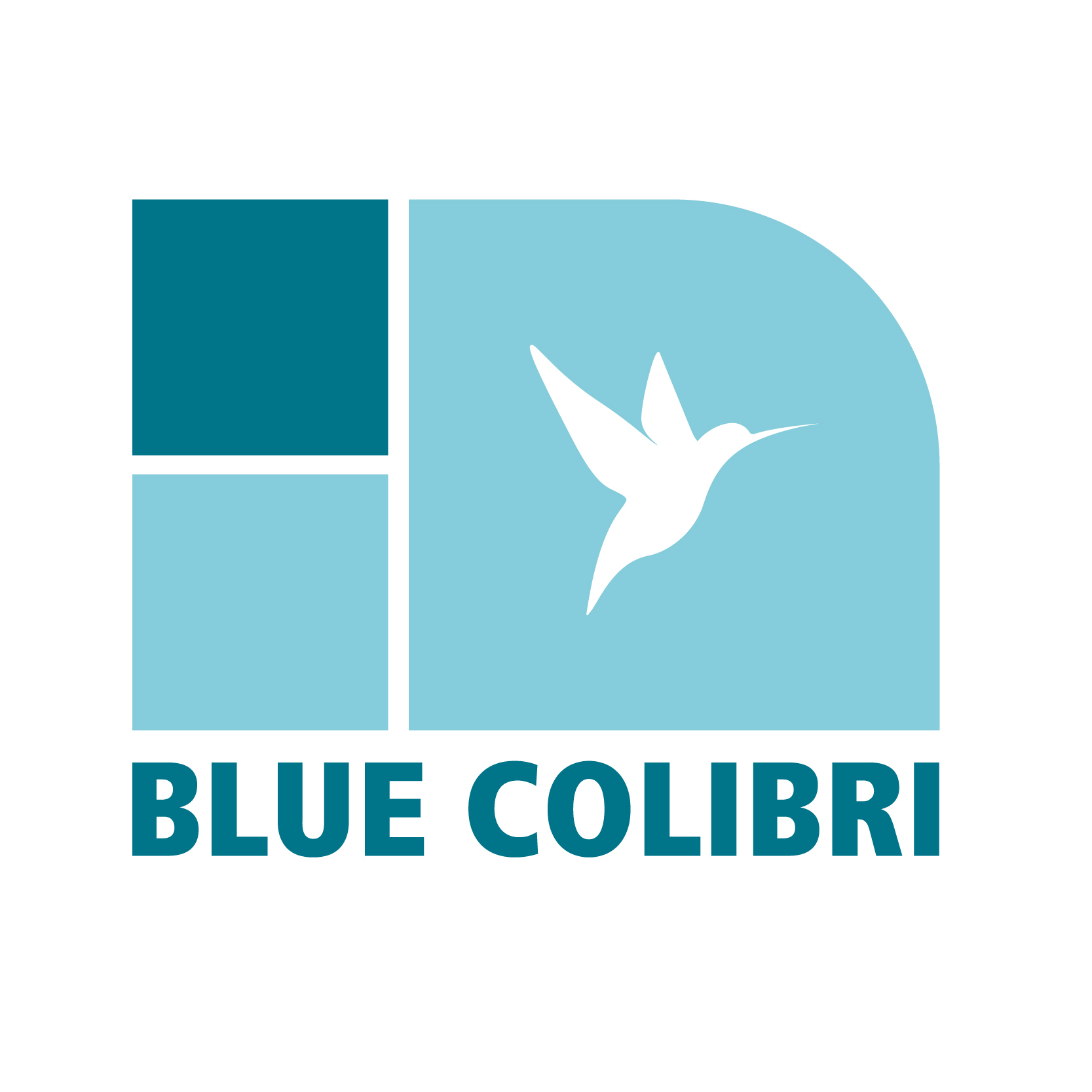 Blue Colibri Logo